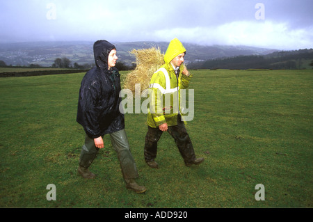 Les agriculteurs sur la Colline Parlementaire à la ferme Pays de Galles UK 38463SB Banque D'Images