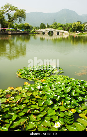 Nénuphars et un pont de pierre en arc à Beijing Beijing Chine Jardins botaniques Banque D'Images