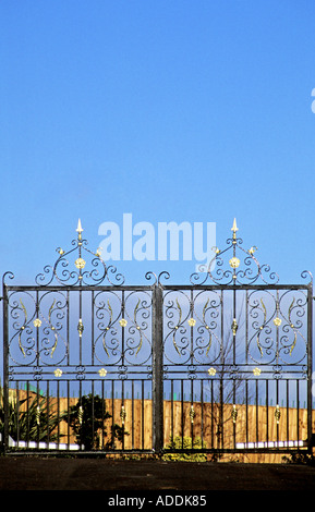 Ornate metal gate Banque D'Images