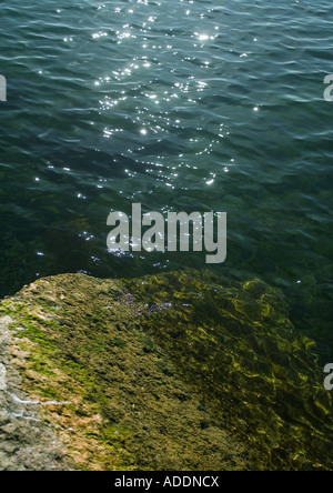 Le soleil brillait sur la surface de l'eau et les algues couverts rock Banque D'Images