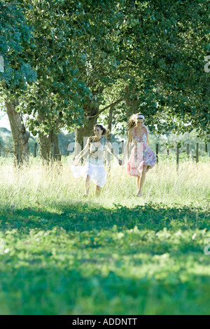 Les jeunes femmes running through field, holding hands Banque D'Images