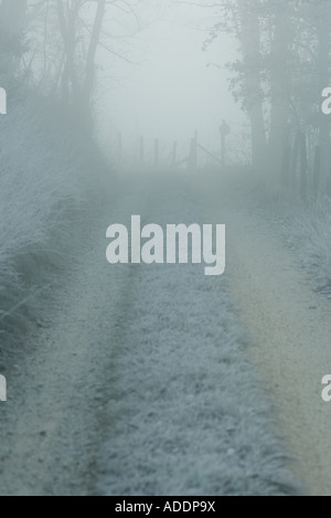 Frost covered rural road Banque D'Images