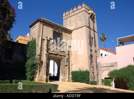 Voir d'Alcazar Palace & Gardens Palacio de Don Pedro Séville Séville Andalousie Andalucía España Espagne Iberia Europe Banque D'Images