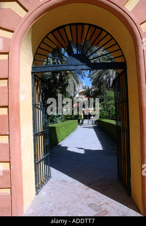 Voir d'Alcazar Palace & Gardens Palacio de Don Pedro Séville Séville Andalousie Andalucía España Espagne Iberia Europe Banque D'Images