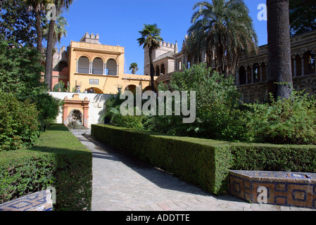 Voir d'Alcazar Palace & Gardens Palacio de Don Pedro Séville Séville Andalousie Andalucía España Espagne Iberia Europe Banque D'Images