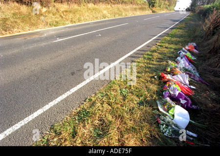 Fleurs à l'emplacement d'un accident mortel de la circulation Banque D'Images