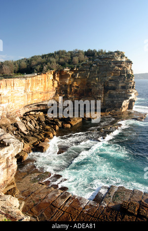 L'écart près de Watsons Bay Sydney Australie Banque D'Images