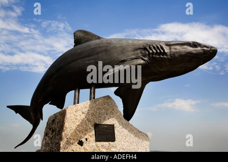 Requin gris de récif statue au fond de coque East Yorkshire Angleterre Banque D'Images