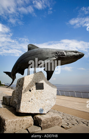 Requin gris de récif statue au fond de coque East Yorkshire Angleterre Banque D'Images