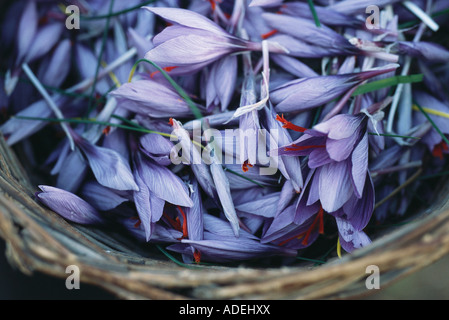 Panier de Fleurs Banque D'Images