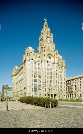 Liver Building à Liverpool Merseyside UK Banque D'Images