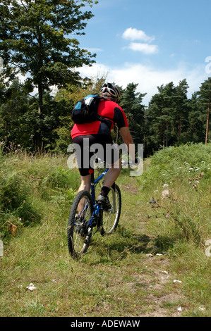 Du vélo de montagne dans la forêt de Thetford, Norfolk Banque D'Images