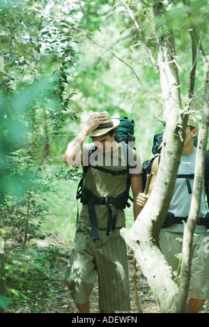 Deux randonneurs à pied à travers la forêt Banque D'Images