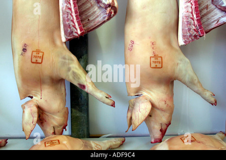 Des carcasses de porcs au Royal Welsh Show Winter Fair Builth Wells Powys Pays de Galles UK GO Banque D'Images