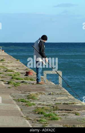 Homme alignés contre le mur de la mer Pêche Météo à Berwick-on-Tweed Northumberland England Royaume-Uni UK Banque D'Images