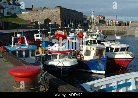 Les bateaux de pêche amarrés dans le port à Seahouses Northumberland England Royaume-Uni UK Banque D'Images