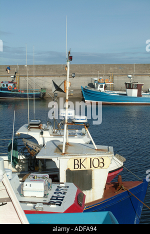 Les bateaux de pêche amarrés dans le port à Seahouses Northumberland England Royaume-Uni UK Banque D'Images