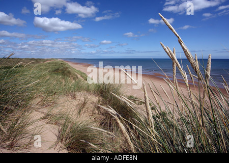 Balmedie Beach près des dunes de sable de Menie, Aberdeen, Écosse, Royaume-Uni Banque D'Images