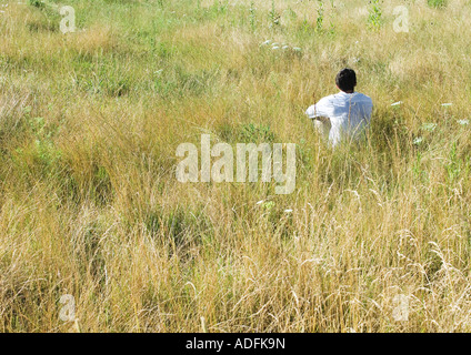 Homme assis dans le champ, vue arrière Banque D'Images