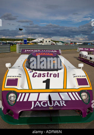 Libre de la soie classique Jaguar coupé voiture de course Le Mans Gagnant Silverstone 2007 Banque D'Images