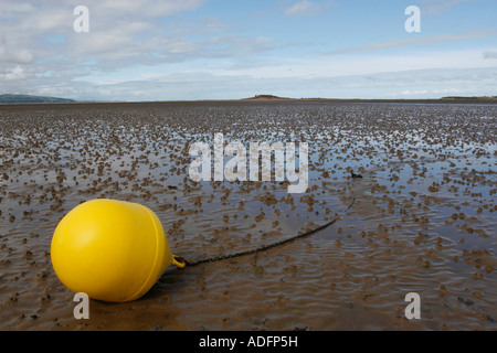 Une bouée d'allongé sur le sable à l'approche à peu dans les yeux - l'un de l'île dans l'estuaire de la Dee au large de la Péninsule de Wirral. Banque D'Images