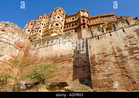 Un grand angle vue de la Mehrangarh Fort prises à partir de la proximité de la base de les murs de fortification. Banque D'Images