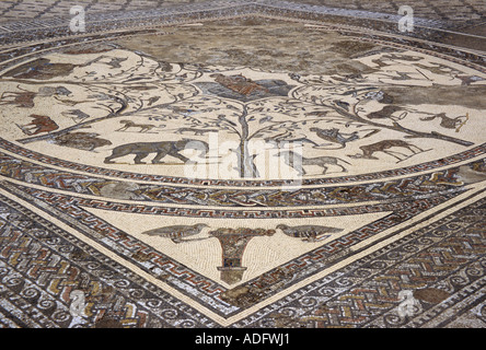 Animaux sauvages locaux décoration en mosaïque dans la chambre d'Orphée. Volubilis, Maroc Banque D'Images