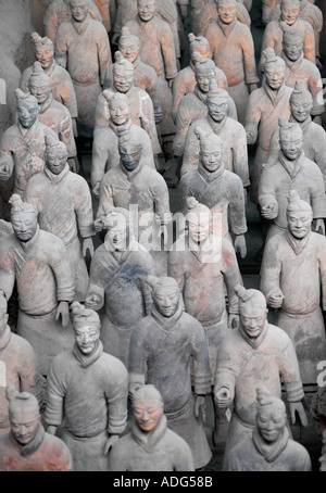 Les guerriers de pierre de l'Armée de terre cuite à Xian, Chine Banque D'Images