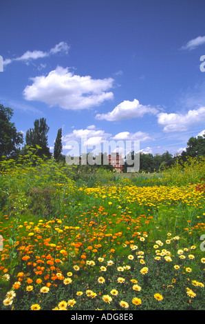 Les Jardins botaniques de Kew Banque D'Images