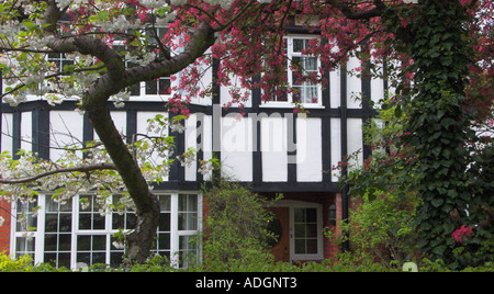 Uk angleterre surrey house dans une simulation de style Tudor Banque D'Images