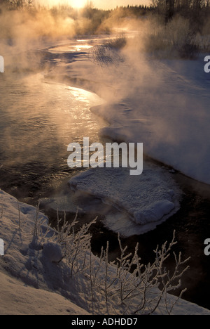 Le gel de l'hiver la rivière ancre 10F Le givre glace de neige la péninsule Kenai en Alaska Banque D'Images