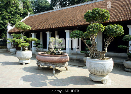 Grand bonsaï dans des pots en pierre dans une cour à la Temple de la littérature, pagode Van Mieu, Dong Da district, Hanoi, Viet Nam Banque D'Images