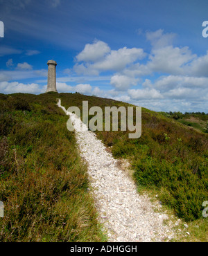 Le National Trust protected Monument à Hardy sur noir vers le bas près de Portesham Dorset en mémoire de Vice-amiral Thomas Masterman Hardy Banque D'Images