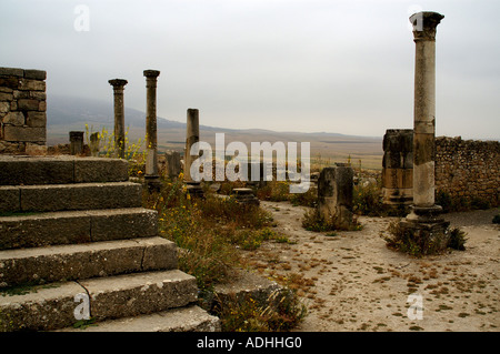 Marches de la Capitol à l'ancienne ville de Volubilis Zerhoun Maroc Massif Banque D'Images