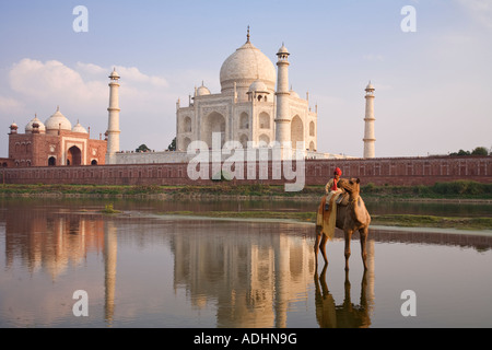 Taj Mahal avec un jeune garçon monté sur un chameau vu de l'autre côté de la rivière Yamuna à Agra Inde Banque D'Images