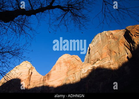 Zion National Park Utah USA Banque D'Images