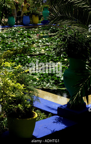 Étang dans le jardin Majorelle Marrakech Maroc Ville Nouvelle Banque D'Images