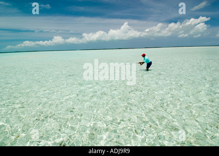 Une plus grande BAHAMA EXUMA pêcheur de mouche de patauger dans la mer vert émeraude pour moulage de Bonefish appartements Océan Atlantique Banque D'Images