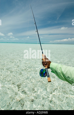 Une plus grande BAHAMA EXUMA Fly fisherman casting pour le Bonefish dans les eaux vert émeraude de l'Océan Atlantique Banque D'Images