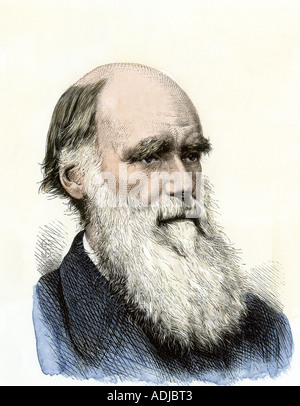 Charles Darwin. À la main, gravure sur bois Banque D'Images