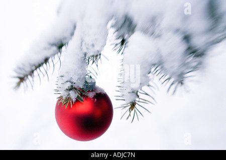 Boule de Noël rouge pendaison le sapin avec des tapis de neige hiver Alaska Banque D'Images