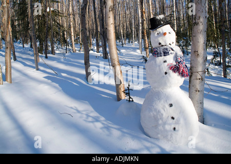 Le Snowman dans top hat écharpe en profonde forêt de bouleaux l'intérieur de l'Alaska, Winter Banque D'Images