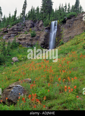 Crooked Creek Falls et indian paintbrush Bird Creek Meadows Washington Banque D'Images