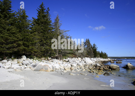 Carter's Beach, en Nouvelle-Écosse, au Canada, en Amérique du Nord. Photo par Willy Matheisl Banque D'Images