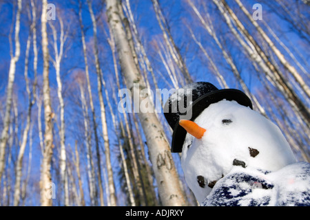 Le Snowman dans top hat écharpe en profonde forêt de bouleaux l'intérieur de l'Alaska, Winter Banque D'Images