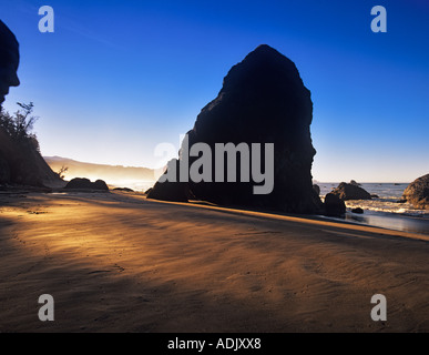 Lumière du matin à plage de Port Orford Oregon Banque D'Images