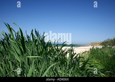 Plage de Lozenetz, côte sud, Bulgarie Banque D'Images