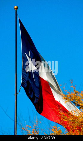 Drapeau de l'état du Texas dans la brise Banque D'Images