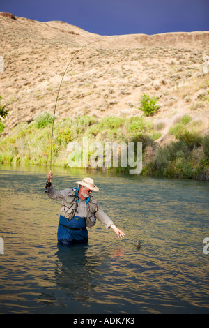 Fisherrman la mouche de la truite brune d'atterrissage sur l'Owyhee River Oregon Banque D'Images