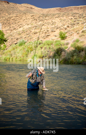 Fisherrman la mouche de la truite brune d'atterrissage sur l'Owyhee River Oregon Banque D'Images